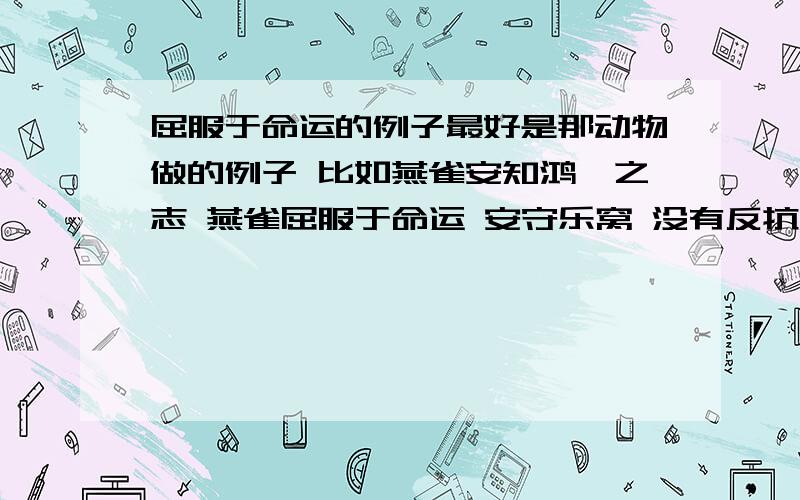 屈服于命运的例子最好是那动物做的例子 比如燕雀安知鸿鹄之志 燕雀屈服于命运 安守乐窝 没有反抗精神