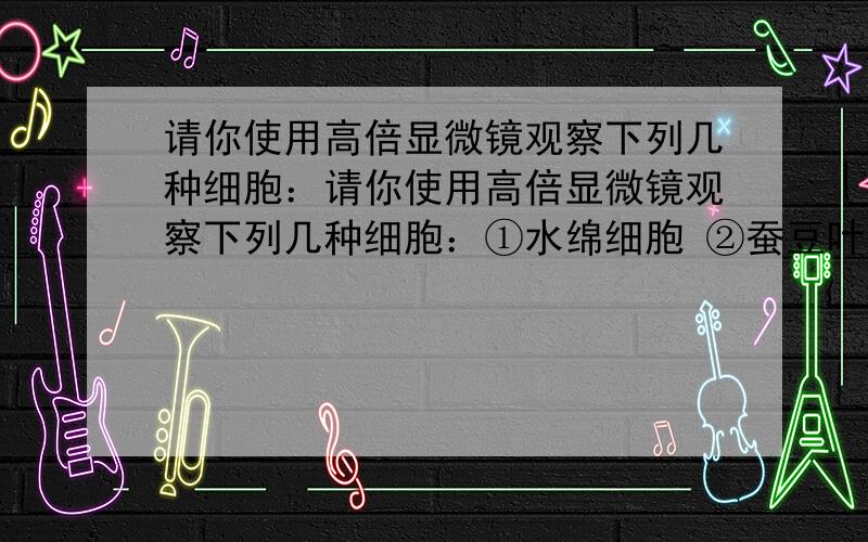 请你使用高倍显微镜观察下列几种细胞：请你使用高倍显微镜观察下列几种细胞：①水绵细胞 ②蚕豆叶表皮细胞 ③人的口腔上皮细胞 ④大肠杆菌 ⑤酵母菌 根据你对显微镜使用和观察的结