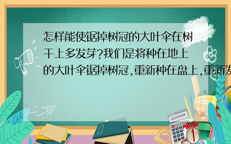 怎样能使锯掉树冠的大叶伞在树干上多发芽?我们是将种在地上的大叶伞锯掉树冠,重新种在盘上,重新发芽的,我听说过可以使树干多发芽的,我们是想他们的芽能多一点在树干的下方,不要全部