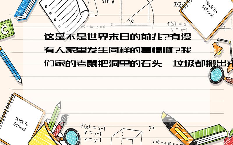 这是不是世界末日的前兆?有没有人家里发生同样的事情啊?我们家的老鼠把洞里的石头、垃圾都搬出来了,已经连续三天了!三天!难道真的是要世界末日了吗?