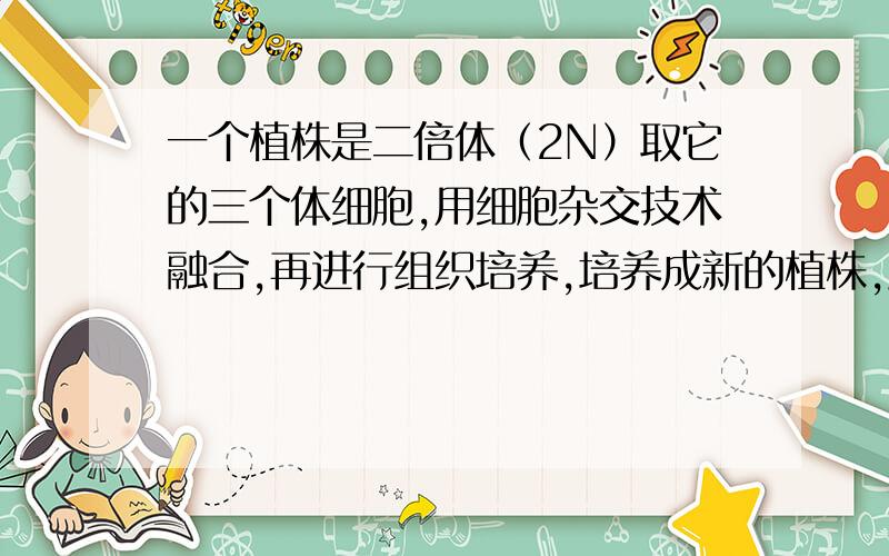 一个植株是二倍体（2N）取它的三个体细胞,用细胞杂交技术融合,再进行组织培养,培养成新的植株,此时是六倍体(6N),根据定义,形成了隔离（生殖隔离或地理隔离）就算形成了新物种,这新的六