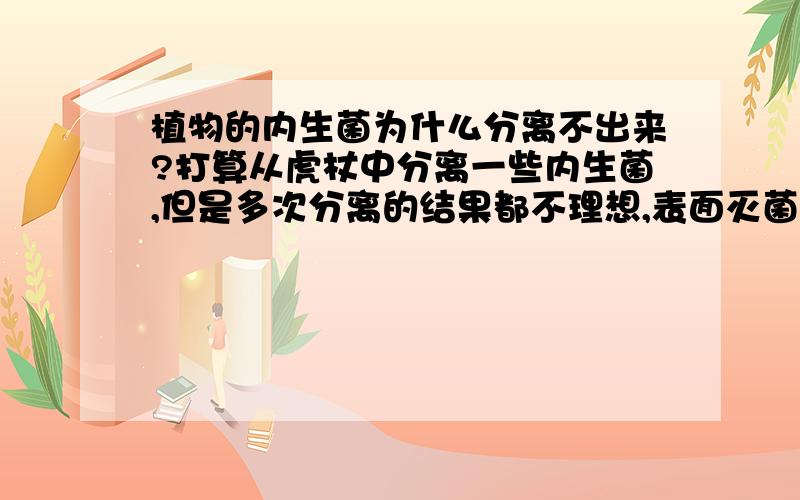 植物的内生菌为什么分离不出来?打算从虎杖中分离一些内生菌,但是多次分离的结果都不理想,表面灭菌的方法也改进了好几次,从最严格的到只是用酒精消毒,但是分离结果还是不理想,据胡没