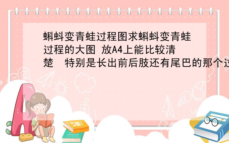 蝌蚪变青蛙过程图求蝌蚪变青蛙过程的大图 放A4上能比较清楚  特别是长出前后肢还有尾巴的那个过程 幼儿园用