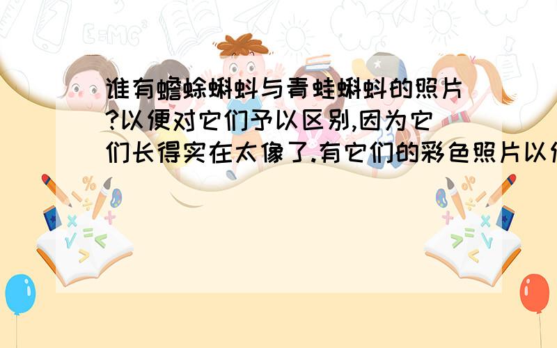 谁有蟾蜍蝌蚪与青蛙蝌蚪的照片?以便对它们予以区别,因为它们长得实在太像了.有它们的彩色照片以便进行区分吗