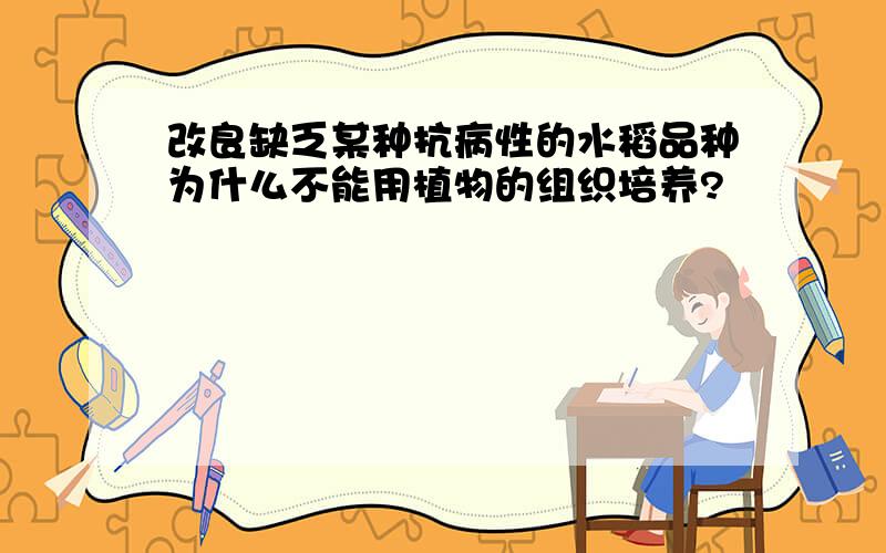 改良缺乏某种抗病性的水稻品种为什么不能用植物的组织培养?