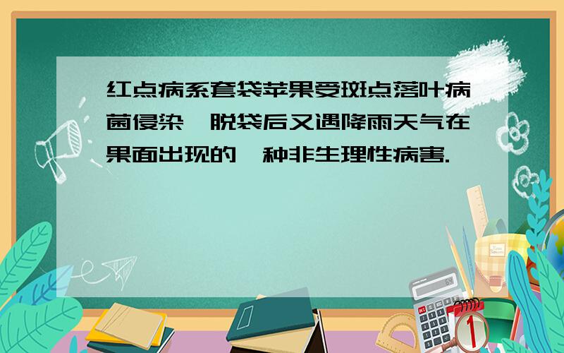 红点病系套袋苹果受斑点落叶病菌侵染,脱袋后又遇降雨天气在果面出现的一种非生理性病害.