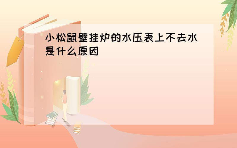 小松鼠壁挂炉的水压表上不去水是什么原因