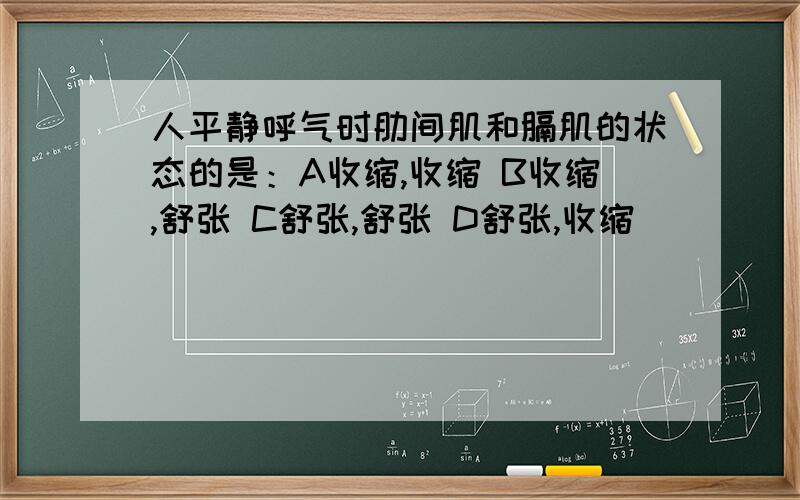 人平静呼气时肋间肌和膈肌的状态的是：A收缩,收缩 B收缩,舒张 C舒张,舒张 D舒张,收缩