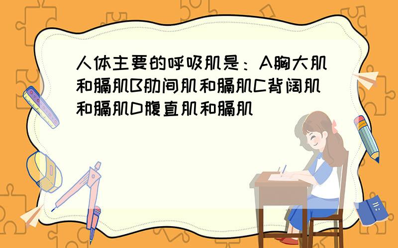 人体主要的呼吸肌是：A胸大肌和膈肌B肋间肌和膈肌C背阔肌和膈肌D腹直肌和膈肌