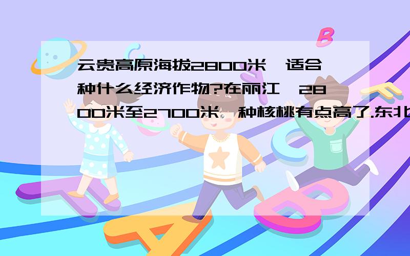 云贵高原海拔2800米,适合种什么经济作物?在丽江,2800米至2700米,种核桃有点高了.东北的榛子不知道可不可以,种花椒不知道是不是也高了?种金银花呢?不了解,种八角茴香不知道行不?当地种重楼