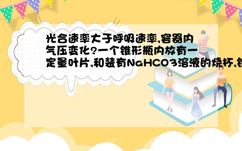 光合速率大于呼吸速率,容器内气压变化?一个锥形瓶内放有一定量叶片,和装有NaHCO3溶液的烧杯,锥形瓶上连有带刻度的玻璃管,玻璃管中是有色液滴.在十分合适的某光照强度条件下,实验进行一