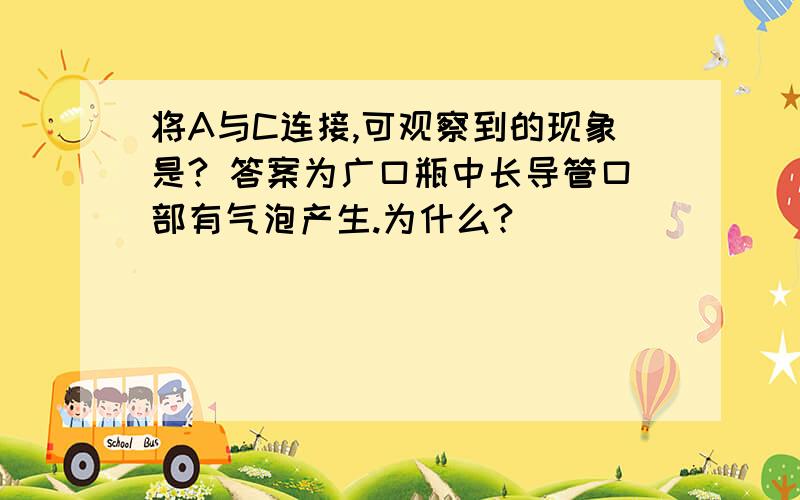 将A与C连接,可观察到的现象是? 答案为广口瓶中长导管口部有气泡产生.为什么?