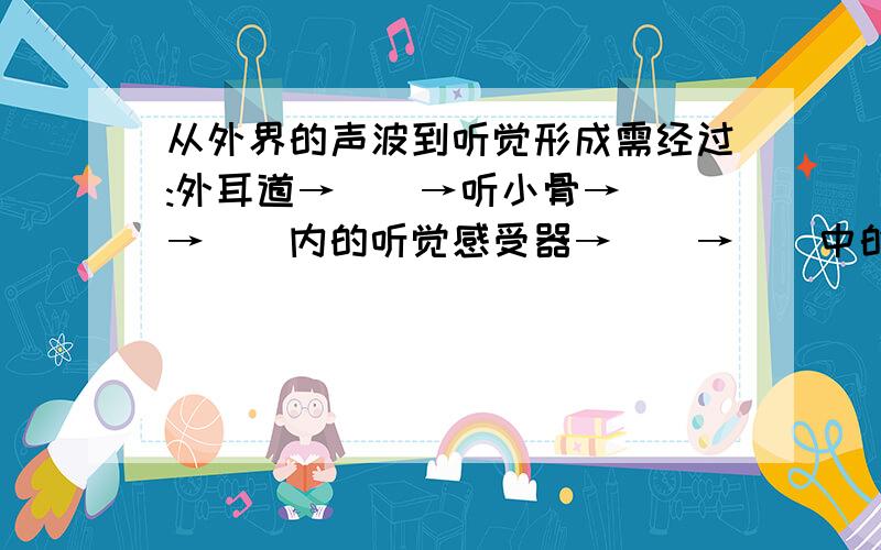 从外界的声波到听觉形成需经过:外耳道→()→听小骨→()→()内的听觉感受器→()→()中的一定区域快啊  明天上学哩