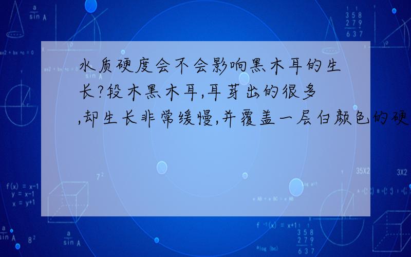 水质硬度会不会影响黑木耳的生长?段木黑木耳,耳芽出的很多,却生长非常缓慢,并覆盖一层白颜色的硬物质,会不会是水质硬度问题?可以确定不是温度低造成的。并且木耳上面覆盖了一层白颜