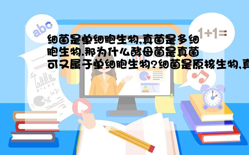 细菌是单细胞生物,真菌是多细胞生物.那为什么酵母菌是真菌可又属于单细胞生物?细菌是原核生物,真菌是真核生物.那为什么链霉菌是细菌可又属于真核生物?这些问题真难懂耶.