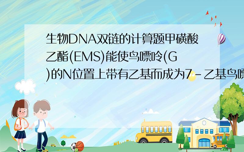 生物DNA双链的计算题甲磺酸乙酯(EMS)能使鸟嘌呤(G)的N位置上带有乙基而成为7-乙基鸟嘌呤,这种鸟嘌呤不与胞嘧啶(C)配对而与胸腺嘧啶(T)配对.某双链DNA分子中A占碱基总数的30%,用甲磺酸乙酯(EMS