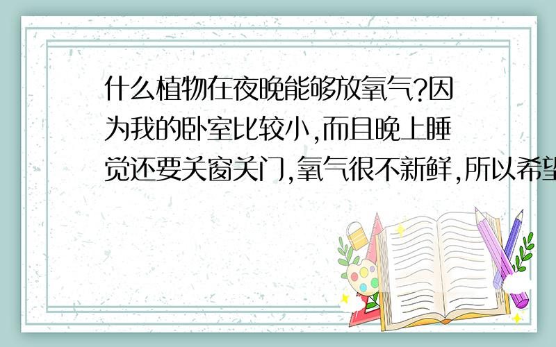 什么植物在夜晚能够放氧气?因为我的卧室比较小,而且晚上睡觉还要关窗关门,氧气很不新鲜,所以希望大家能够告诉我一些在晚上也可以放氧气的植物,