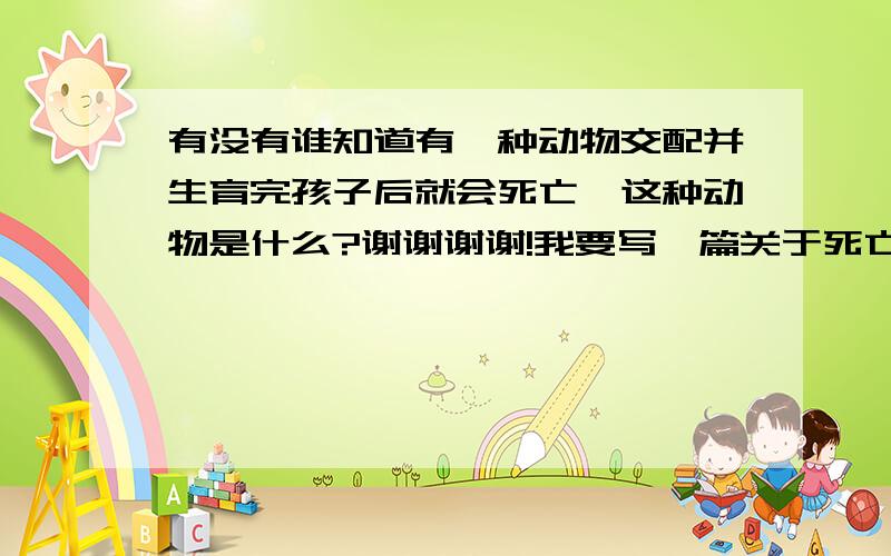 有没有谁知道有一种动物交配并生育完孩子后就会死亡,这种动物是什么?谢谢谢谢!我要写一篇关于死亡的文章,觉得这种动物的死亡很伟大,请知道答案的朋友快告诉我,交配并生育完孩子就马