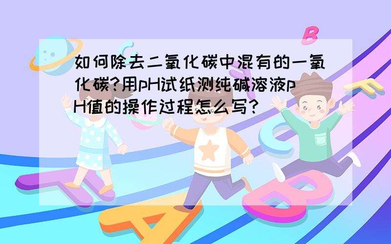 如何除去二氧化碳中混有的一氧化碳?用pH试纸测纯碱溶液pH值的操作过程怎么写?