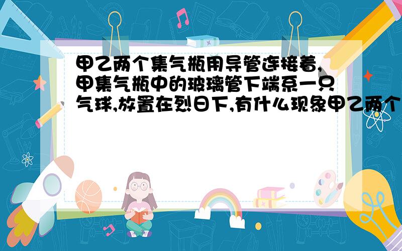 甲乙两个集气瓶用导管连接着,甲集气瓶中的玻璃管下端系一只气球,放置在烈日下,有什么现象甲乙两个集气瓶用两只导管连接着,甲集气瓶中另插入一根玻璃管,且下端系一只气球.乙种有着白