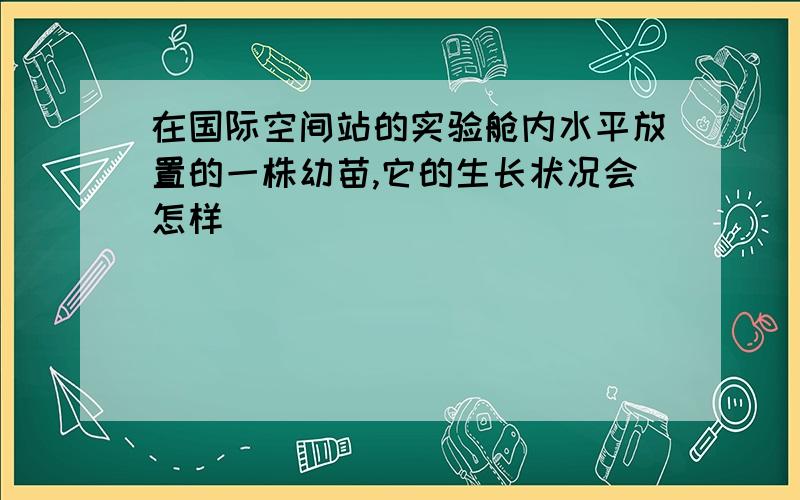 在国际空间站的实验舱内水平放置的一株幼苗,它的生长状况会怎样