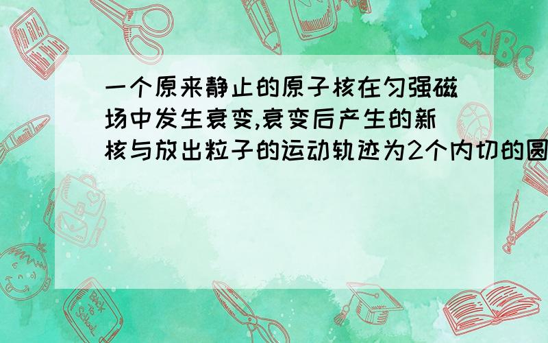 一个原来静止的原子核在匀强磁场中发生衰变,衰变后产生的新核与放出粒子的运动轨迹为2个内切的圆大圆a和小圆b 可以分析出粒子是β粒子,但不知道为什么β粒子的轨道半径大一点