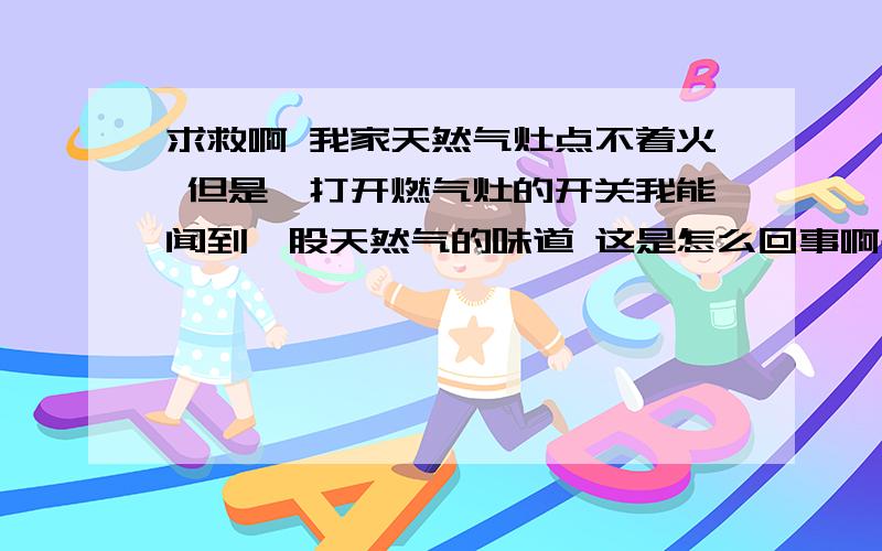 求救啊 我家天然气灶点不着火 但是一打开燃气灶的开关我能闻到一股天然气的味道 这是怎么回事啊是不是天然气泄漏了呢 ?现在总阀门关了 也闻不到味道了  还会再继续泄漏吗  求救啊  十