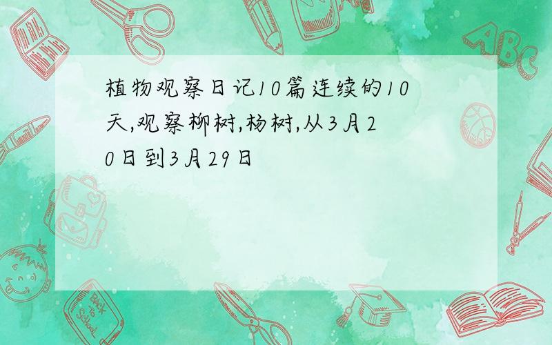 植物观察日记10篇连续的10天,观察柳树,杨树,从3月20日到3月29日