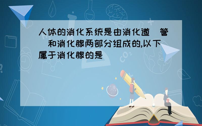 人体的消化系统是由消化道（管）和消化腺两部分组成的,以下属于消化腺的是