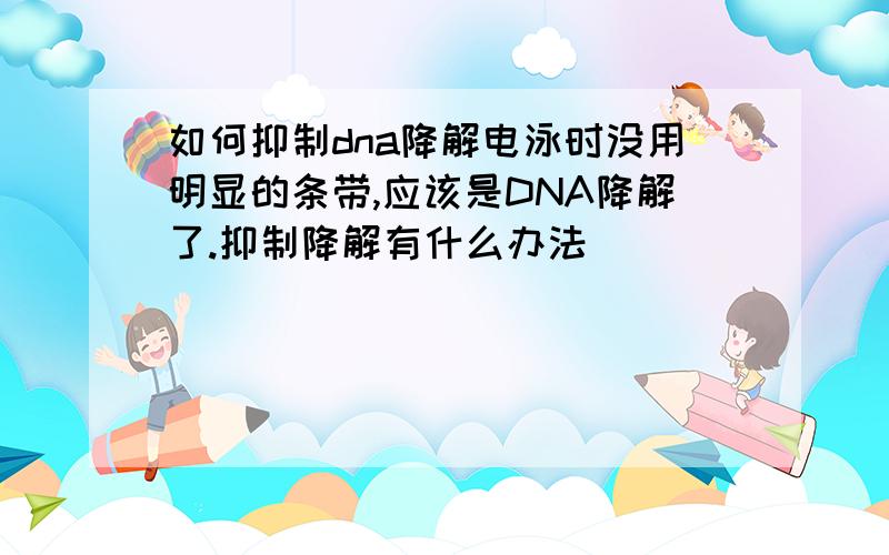 如何抑制dna降解电泳时没用明显的条带,应该是DNA降解了.抑制降解有什么办法