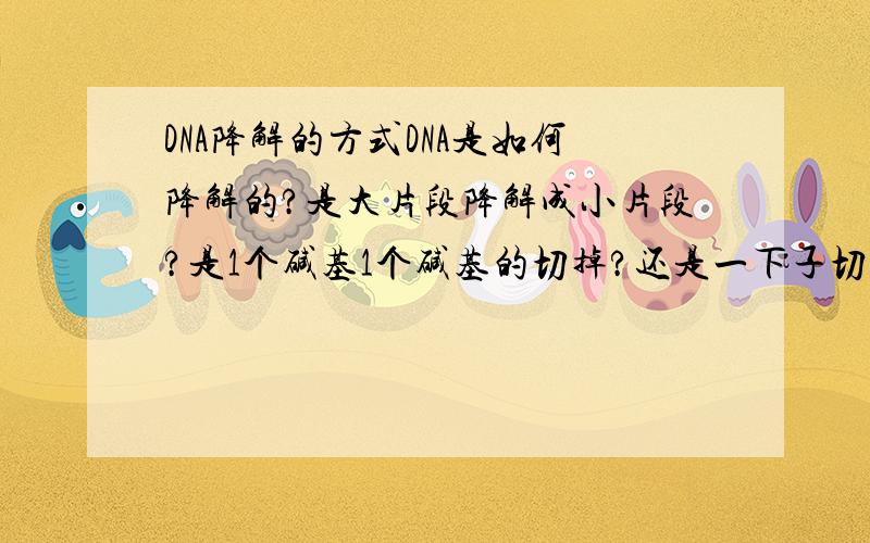 DNA降解的方式DNA是如何降解的?是大片段降解成小片段?是1个碱基1个碱基的切掉?还是一下子切断?在断裂的小片段双链DNA中,会不会发生某一条链的某一个或多个碱基丢失造成缺口?注意,我问的