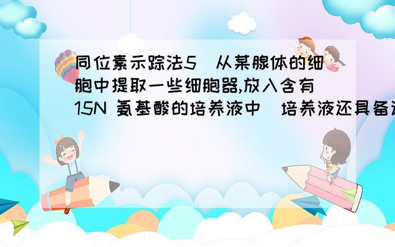 同位素示踪法5．从某腺体的细胞中提取一些细胞器,放入含有15N 氨基酸的培养液中（培养液还具备这些细胞器完成其功能所需要的物质和条件）,连续取样测定标记的氨基酸在这些细胞器中的