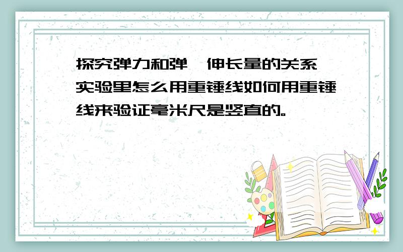 探究弹力和弹簧伸长量的关系 实验里怎么用重锤线如何用重锤线来验证毫米尺是竖直的。