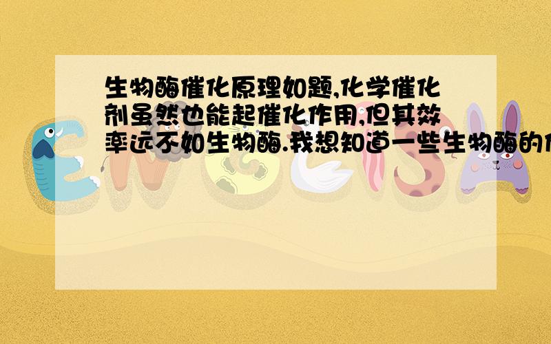 生物酶催化原理如题,化学催化剂虽然也能起催化作用,但其效率远不如生物酶.我想知道一些生物酶的催化机理.