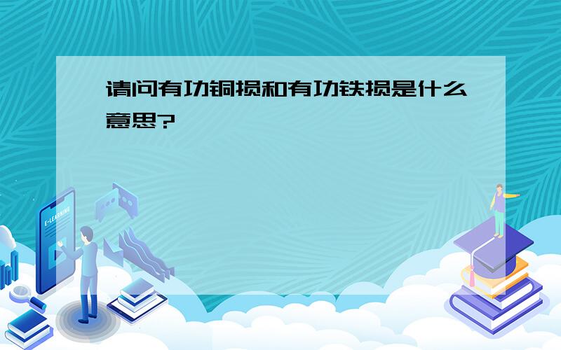 请问有功铜损和有功铁损是什么意思?