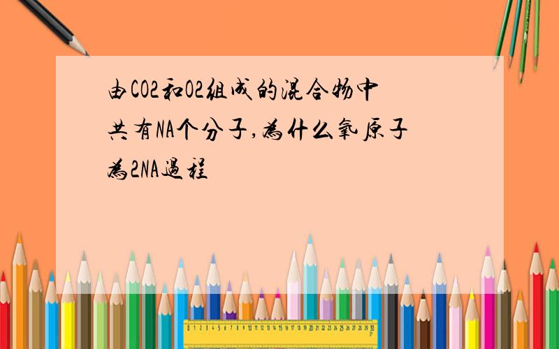 由CO2和O2组成的混合物中共有NA个分子,为什么氧原子为2NA过程