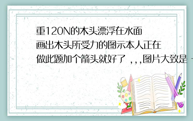 重120N的木头漂浮在水面 画出木头所受力的图示本人正在做此题加个箭头就好了 ,,,图片大致是 一个圆柱形东西 一般浸没再水中