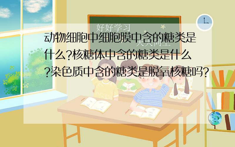 动物细胞中细胞膜中含的糖类是什么?核糖体中含的糖类是什么?染色质中含的糖类是脱氧核糖吗?