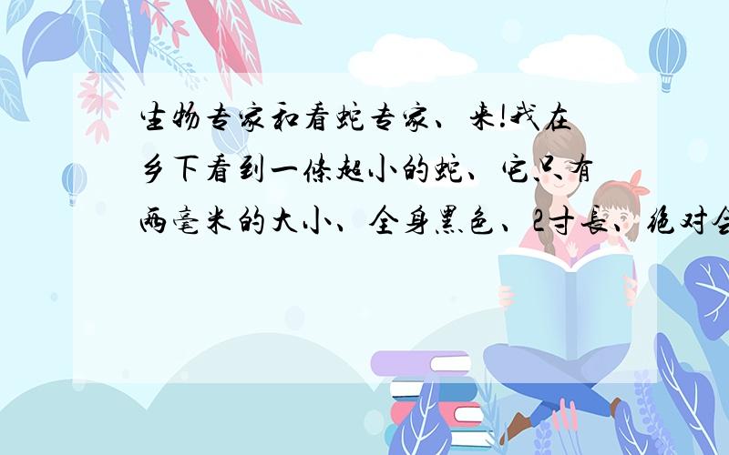 生物专家和看蛇专家、来!我在乡下看到一条超小的蛇、它只有两毫米的大小、全身黑色、2寸长、绝对会动的、我看了两次、吓死了、那是什么蛇啊、还有什么寄生虫.它好像比盲蛇还小一点