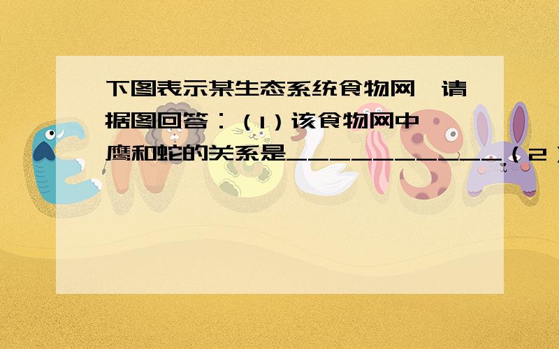 下图表示某生态系统食物网,请据图回答：（1）该食物网中,鹰和蛇的关系是__________（2）若要分析该生态系统的能量流动状况,应从____________________开始.（3）写出鹰获得能量最多的食物链______