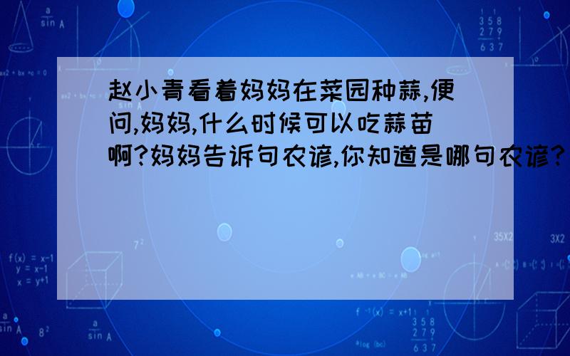 赵小青看着妈妈在菜园种蒜,便问,妈妈,什么时候可以吃蒜苗啊?妈妈告诉句农谚,你知道是哪句农谚?