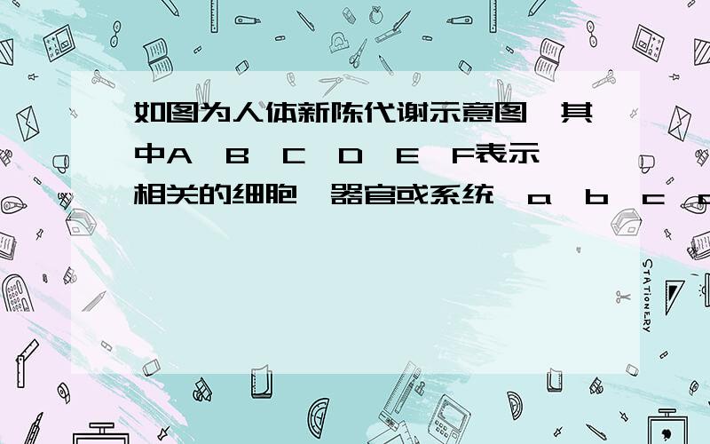 如图为人体新陈代谢示意图,其中A、B、C、D、E、F表示相关的细胞、器官或系统,a,b,c,d,e表示相关物质,①、②表示生理过程.情分析回答问题 1、过程①的生理意义是实现了（ ）（用图中字母表