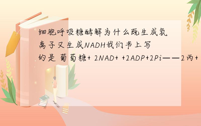 细胞呼吸糖酵解为什么既生成氢离子又生成NADH我们书上写的是 葡萄糖+ 2NAD+ +2ADP+2Pi——2丙+ 2NADH+ 2H+ +2ATP