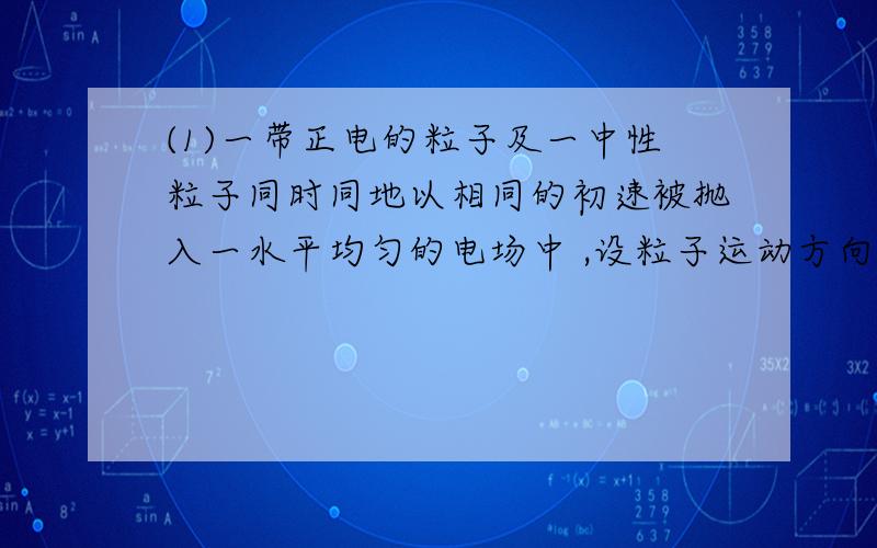 (1)一带正电的粒子及一中性粒子同时同地以相同的初速被抛入一水平均匀的电场中 ,设粒子运动方向和电场方向平行而反向 ,带电粒子最远运动至 20cm 后不再前进而开始后退 ,则此时中性粒子