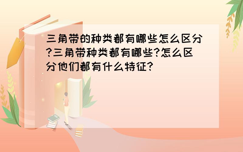 三角带的种类都有哪些怎么区分?三角带种类都有哪些?怎么区分他们都有什么特征?