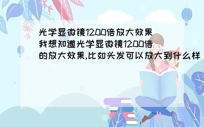 光学显微镜1200倍放大效果我想知道光学显微镜1200倍的放大效果,比如头发可以放大到什么样