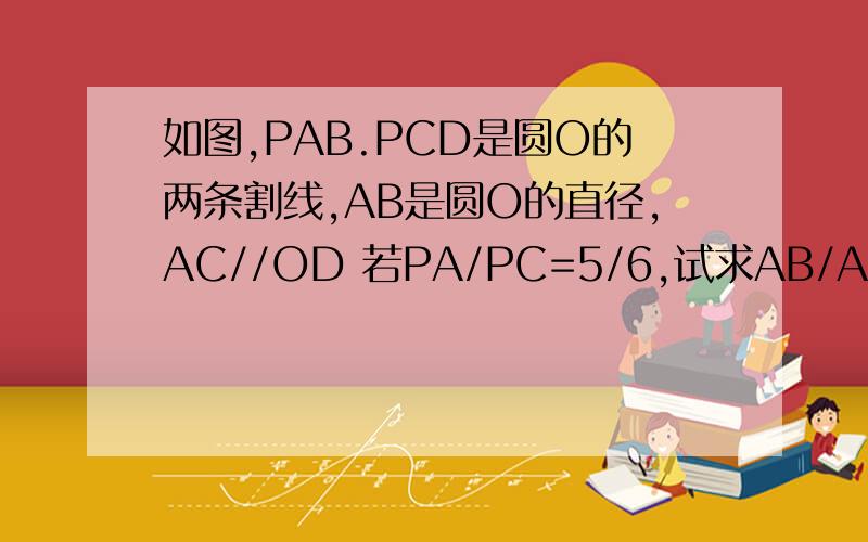 如图,PAB.PCD是圆O的两条割线,AB是圆O的直径,AC//OD 若PA/PC=5/6,试求AB/AD的值