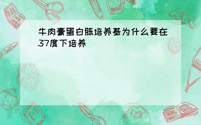 牛肉膏蛋白胨培养基为什么要在37度下培养