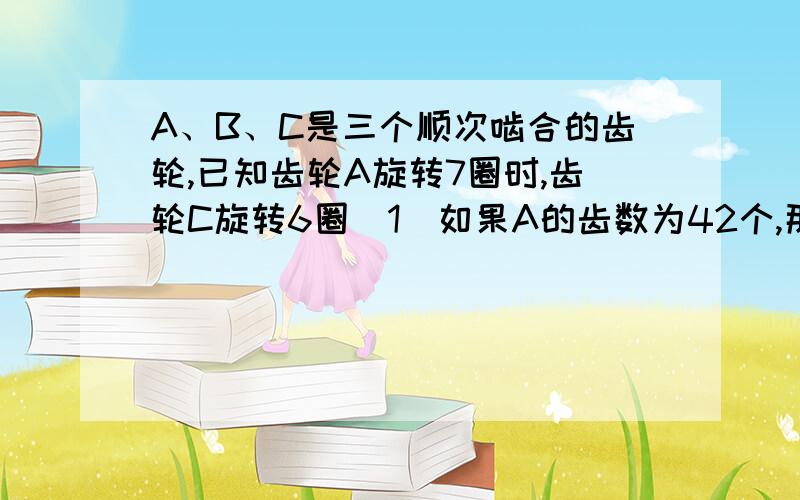 A、B、C是三个顺次啮合的齿轮,已知齿轮A旋转7圈时,齿轮C旋转6圈（1）如果A的齿数为42个,那么C的齿轮数是多少个?（2）如果B旋转7圈,C旋转1圈,那么A旋转8圈时,B旋转了多少圈?