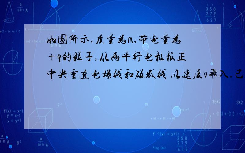 如图所示,质量为m,带电量为+q的粒子,从两平行电极板正中央垂直电场线和磁感线 以速度v飞入,已知两板间如图所示,质量为m,带电量为+q的粒子,从两平行电极板正中央垂直电场线和磁感线以速